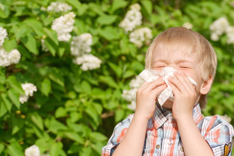 शिशु में एलर्जी के कारण अस्थमा